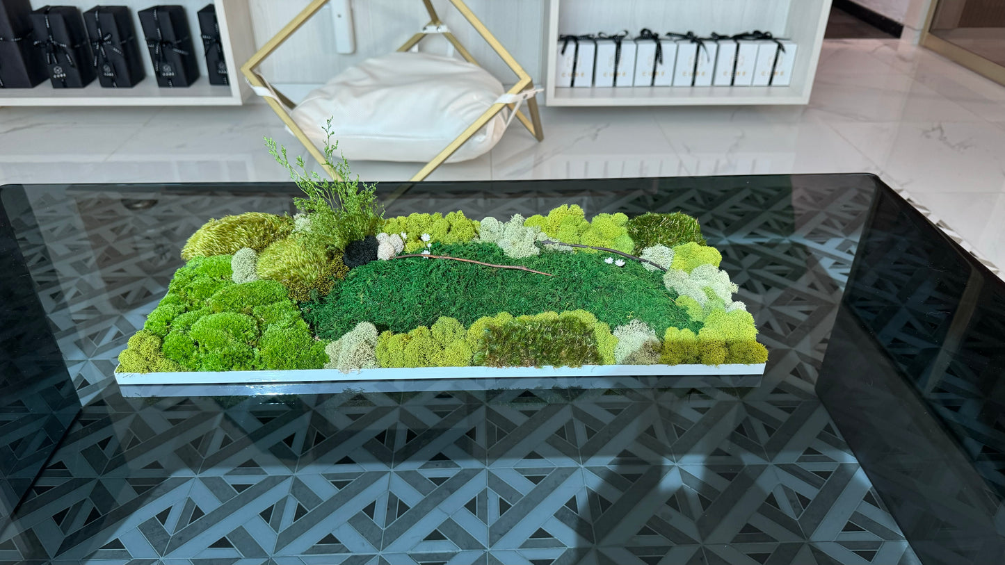 Rectangular Moss Tray